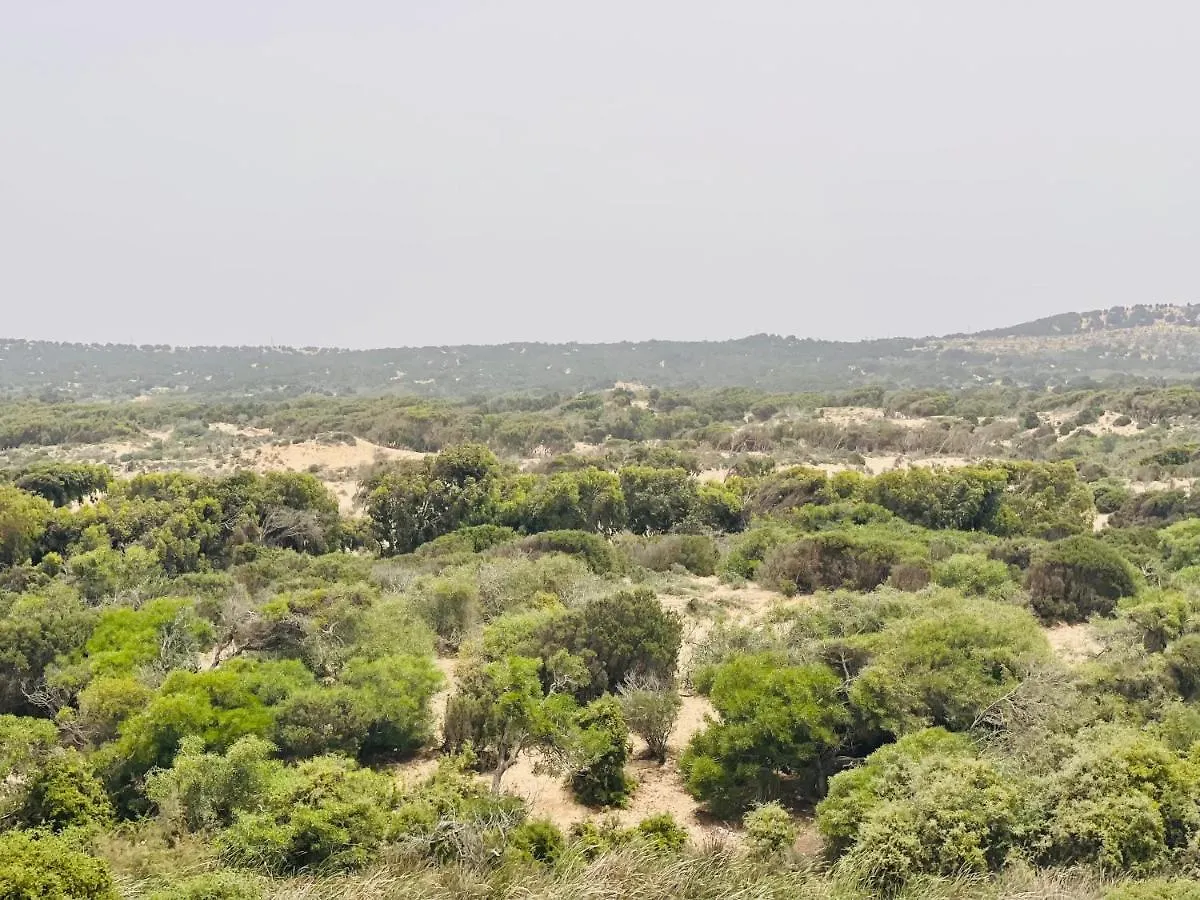 Apartamento Superbe Appartement Face A La Foret Essaouira